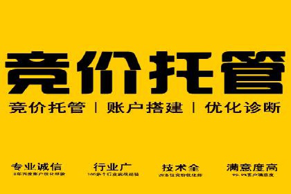 搜索引擎营销（SEM）的广告创意与落地页设计——以某成功创业公司的实践为例